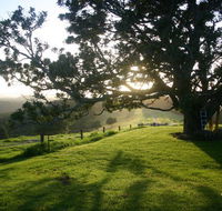 Kilfeacle Farm Cottage - Accommodation Redcliffe