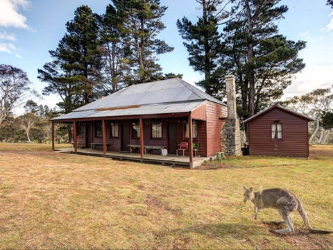 The Pines Cottage - Accommodation Redcliffe 0