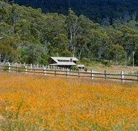 Pender Lea Alpine Guest Accommodation - Accommodation Redcliffe