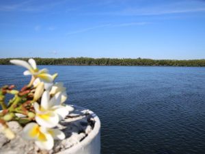 The Fishing Haven Holiday Park - Accommodation Redcliffe 0