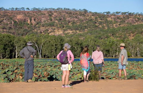 Mount Nancar Wilderness Retreat - Accommodation Redcliffe 5