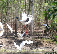Rakhi Retreat - Accommodation Redcliffe