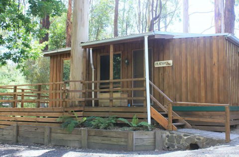 Tarra Valley Caravan Park - Accommodation Redcliffe 1