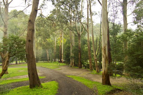 Tarra Valley Caravan Park - Accommodation Redcliffe 6
