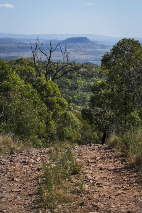Kroombit Tops National Park Camping Ground - Accommodation Redcliffe 3