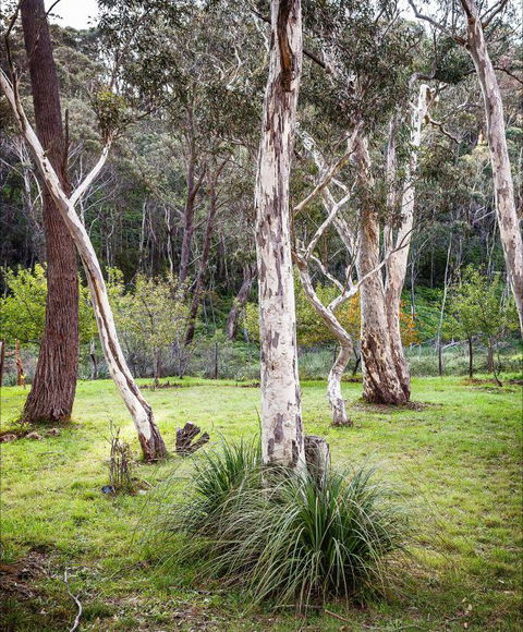 Fifth Ave Katoomba Retreat - Accommodation Redcliffe 2