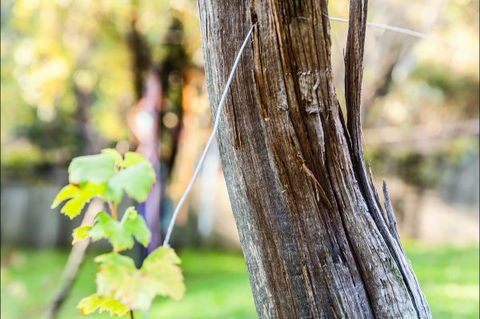 Fifth Ave Katoomba Retreat - Accommodation Redcliffe 3