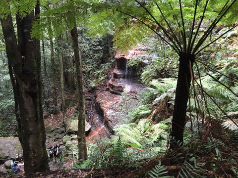 Fifth Ave Katoomba Retreat - Accommodation Redcliffe 9