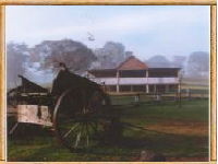 Megalong Valley Farm - Accommodation Redcliffe 0