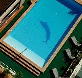 Pacific International Hotel - Accommodation Redcliffe