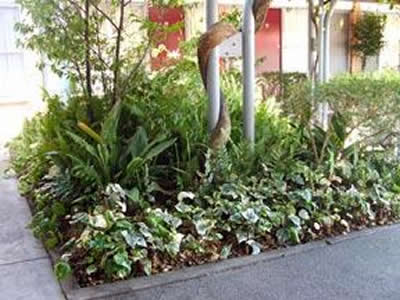 Comfort Inn Manhattan - Accommodation Redcliffe 2