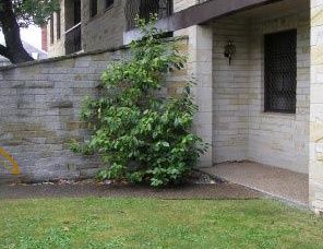 Avon Court Apartments - Accommodation Redcliffe 2
