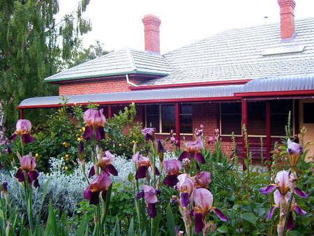 Donalea Bed & Breakfast - Accommodation Redcliffe 0