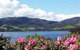 Donalea Bed & Breakfast - thumb 1