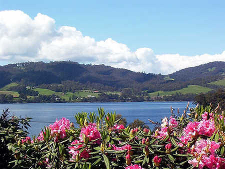 Donalea Bed & Breakfast - Accommodation Redcliffe 1