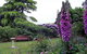 Donalea Bed & Breakfast - thumb 4