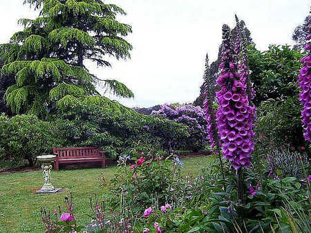 Donalea Bed & Breakfast - Accommodation Redcliffe 4