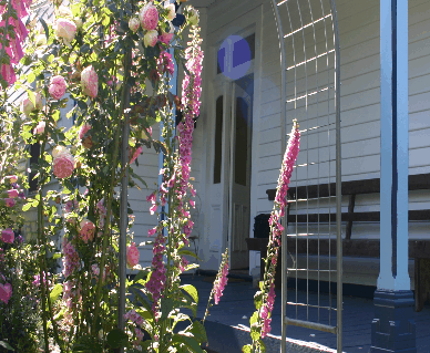 Devonport Bed And Breakfast - Accommodation Redcliffe