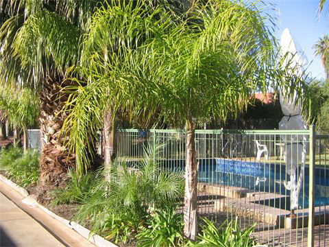 Orana Motor Inn - Accommodation Redcliffe 8