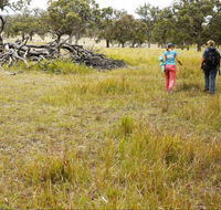 Carnarvon National Park camping - Accommodation Redcliffe