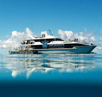 Bundaberg to Lady Musgrave Island Day Cruise - Accommodation Redcliffe