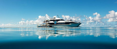 Bundaberg To Lady Musgrave Island Day Cruise - Accommodation Redcliffe 0