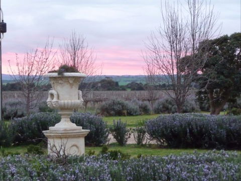 Angas Plains Wines Suites - Accommodation Redcliffe 3