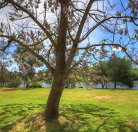 Breakaway Twin Rivers Caravan Park - Accommodation Redcliffe