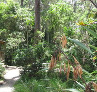 Dunns Creek Downs Nature Stay - Accommodation Redcliffe