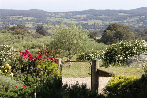 L'Oliveraie - Accommodation Redcliffe 1