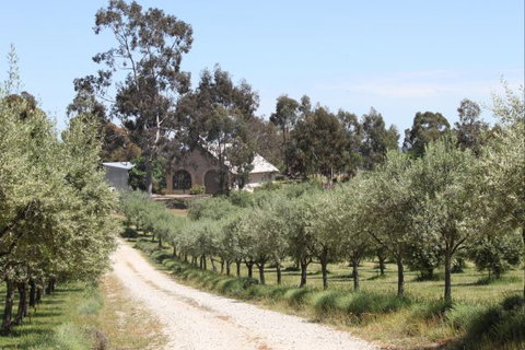 L'Oliveraie - Accommodation Redcliffe 2