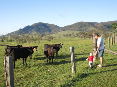 Barrington Hideaway- River Cottages - Accommodation Redcliffe 6
