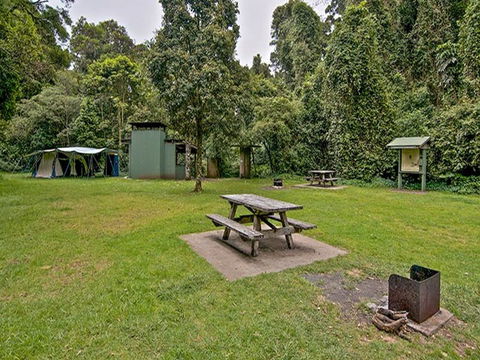 Forest Tops Campground - Accommodation Redcliffe 0