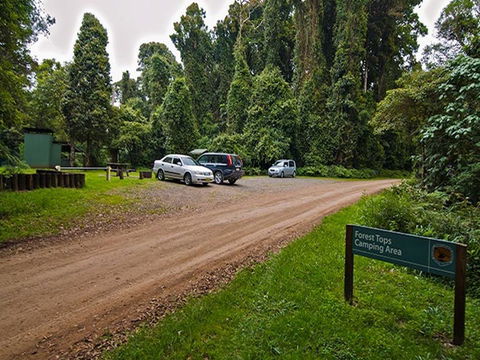 Forest Tops Campground - Accommodation Redcliffe 1