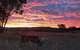 The Woolshed Cabins - thumb 7
