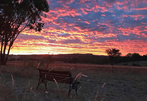 The Woolshed Cabins - Accommodation Redcliffe 7