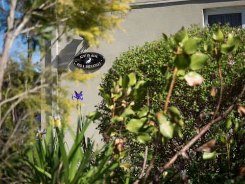 Austin Rise B&B - Accommodation Redcliffe 1