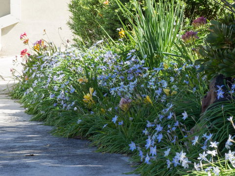 Austin Rise B&B - Accommodation Redcliffe 2