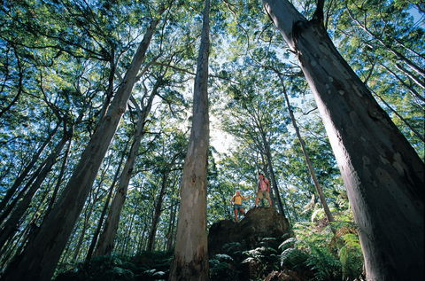 Boranup Camp At Leeuwin-Naturaliste National Park - Accommodation Redcliffe 1