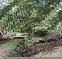 Eungella National Park camping - Accommodation Redcliffe