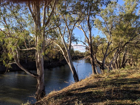 Four Mile Camping Reserve - Accommodation Redcliffe 2