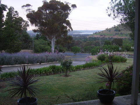 Garden Motor Inn (Golden Chain) - Accommodation Redcliffe 3