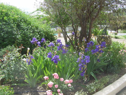 Garden Motor Inn (Golden Chain) - Accommodation Redcliffe 7