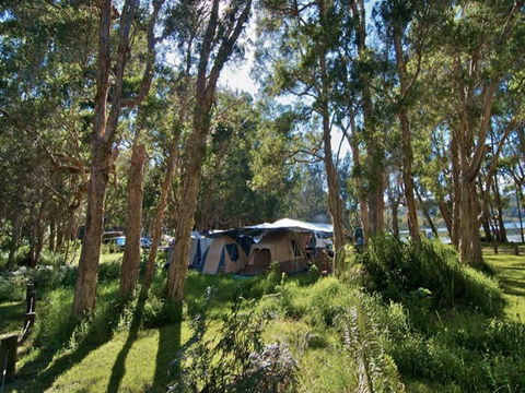 Neranie Campground And Picnic Area - Accommodation Redcliffe 0
