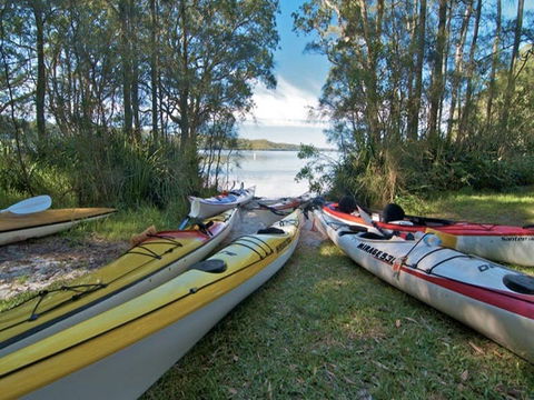 Neranie Campground And Picnic Area - Accommodation Redcliffe 1