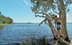 The Wells Campground - thumb 1