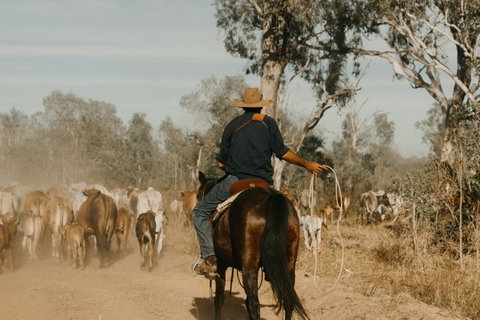Bullo River Station - Accommodation Redcliffe 0