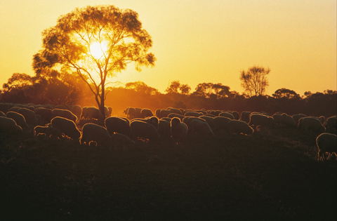 Clandulla Cottages & Farmstay - Accommodation Redcliffe 0