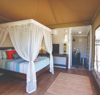 Dubbo Rhino Lodge - Accommodation Redcliffe