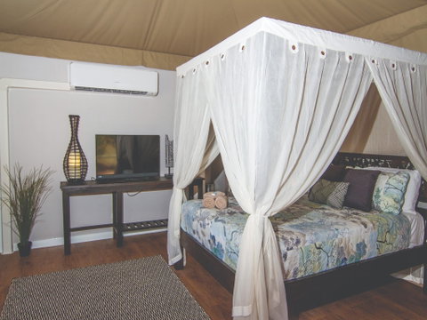 Dubbo Rhino Lodge - Accommodation Redcliffe 1
